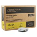 Powernail Flooring Staples, 15.5 ga, 2 in Leg L, Steel, 7700 PK PS20077
